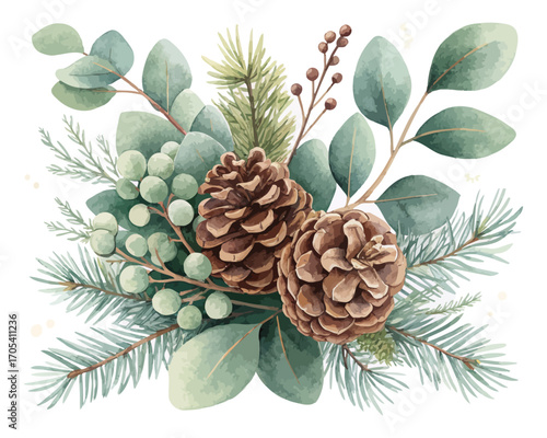 Watercolor Eucalyptus and Pine Cone Arrangement for Christmas vector illustration isolated on white background