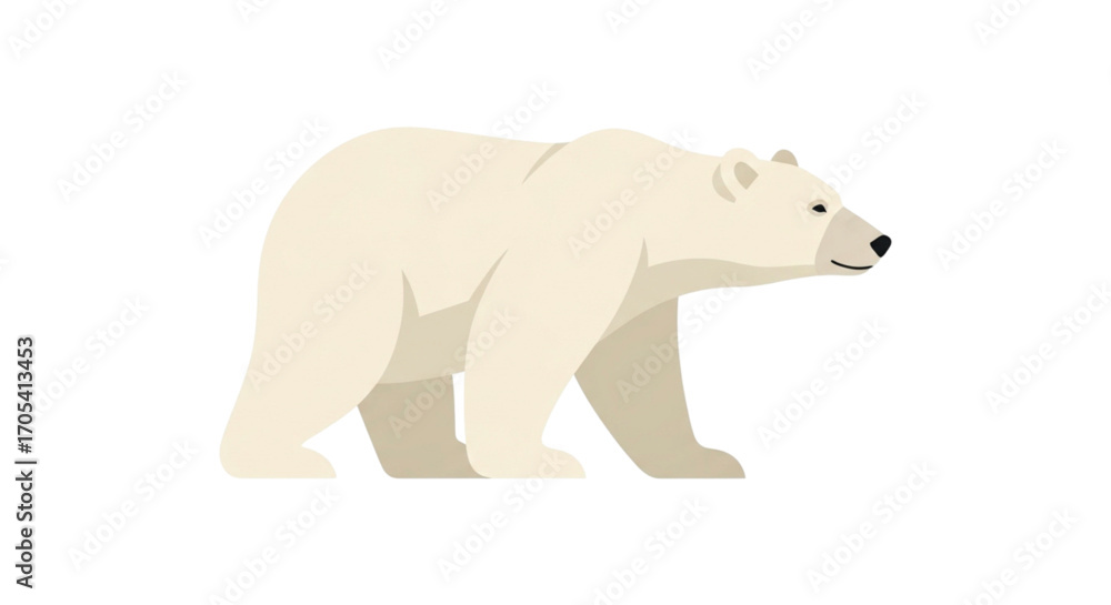 Fototapeta premium Polar Bear Walking on White Background.