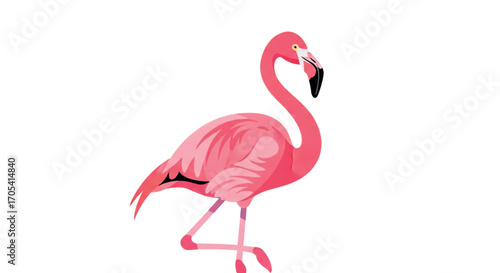 Pink Flamingo Standing on One Leg.