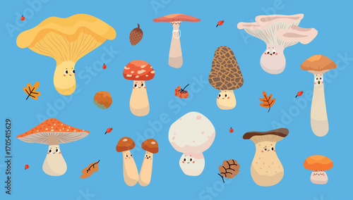Funny mushrooms. Forest plants, various mushroom characters. Seasonal wild plant elements edible and toadstools. Cartoon nowaday vector clipart