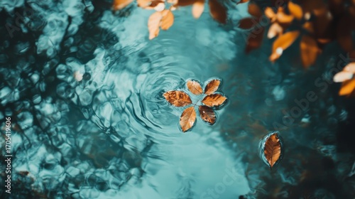 A single brown leaf floats on a rippling surface of blue water with other leaves in the background.