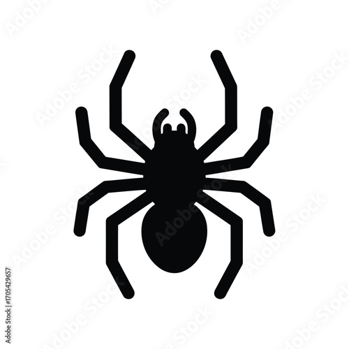 Vector art of a black silhouette of a spider, a common arachnid with eight legs