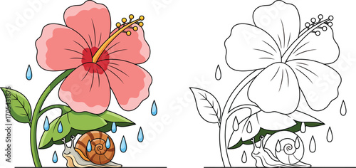 Beautiful hibiscus flower with raindrops and snail illustration