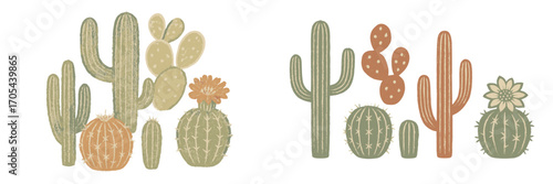 Stylized collection of desert cacti and succulent plants with blooming flowers in various shapes and sizes, botanical elements