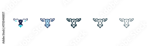 Pelvic inflammatory disease icons vectors for apps and web.