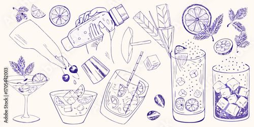 Hand drawn cocktail ingredients and drinks with ice cubes lemon slices and mint leaves