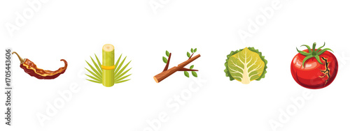 Vegetables and herbs set