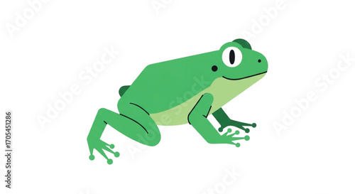 Green Frog Illustration on White Background.
