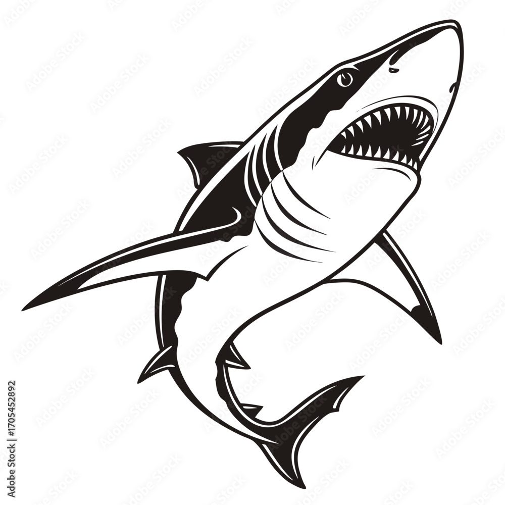 Fototapeta premium vector illustration of a shark