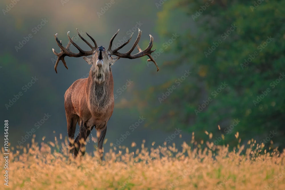 Obraz premium A journey through colors, creatures, and breathtaking sceneries.