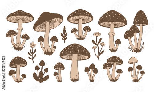 Hand Drawn Mushroom Illustration Collection vector set