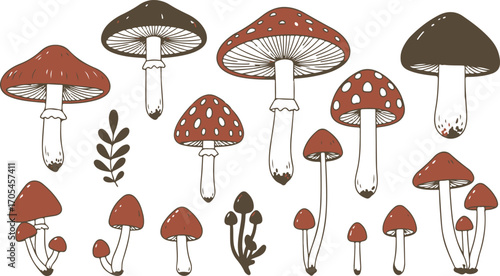 Hand Drawn Mushroom Illustration Collection vector set