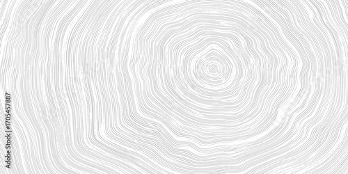 Log cut, wood texture, tree rings pattern, shades of gray, rough vector background