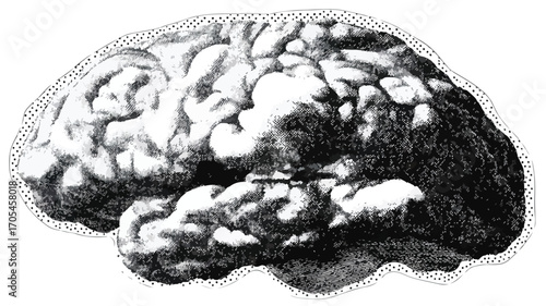 Human Brain Collage Element for Scrapbook Design Inspiration