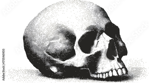 Monochrome Halftone Human Skull Collage Element