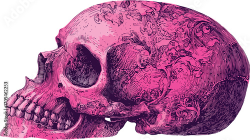 Pink Neon Human Skull in Woodcut Style Vector Art for Design Projects
