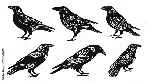 Black Celtic Raven Bird in Various Poses for Creative Designs
