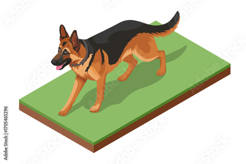 Isometric illustration of a German shepherd dog walking on grass. Concept of security, border patrol, and canine training.