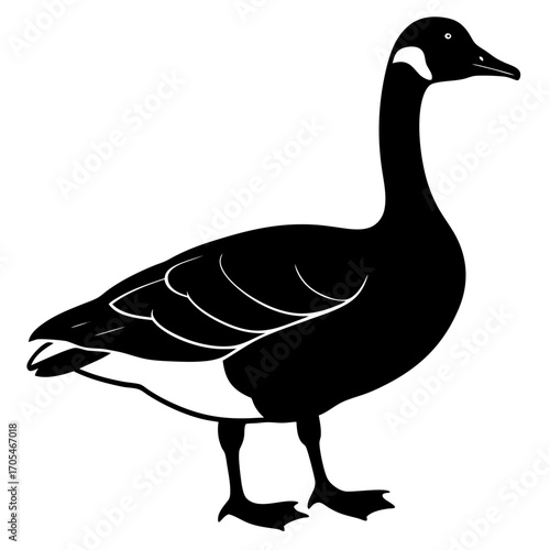 Canada Goose vector silhouette on white background