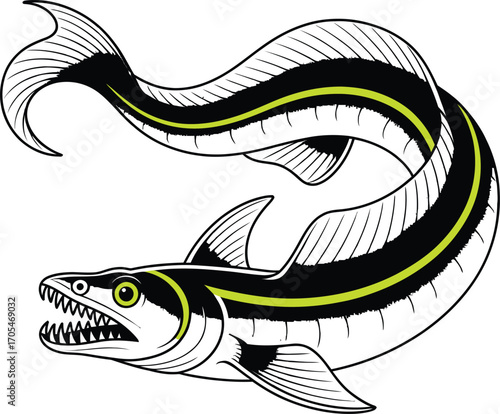 Black Eel fish with a green stripe and sharp teeth
