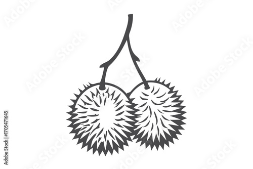 Annona Muricata Soursop Fruit, Exotic Spiky Plant Isolated on White Background,