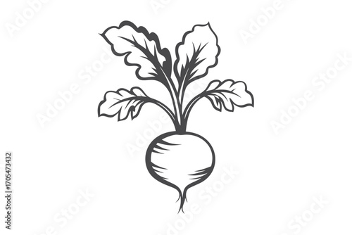 Beetroot Silhouette with Leaves Vector, Organic Vegetable Icon on White Background