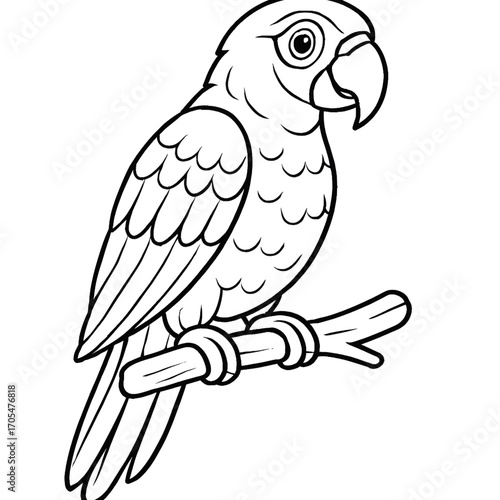 A parrot bird illustration vector style coloring page