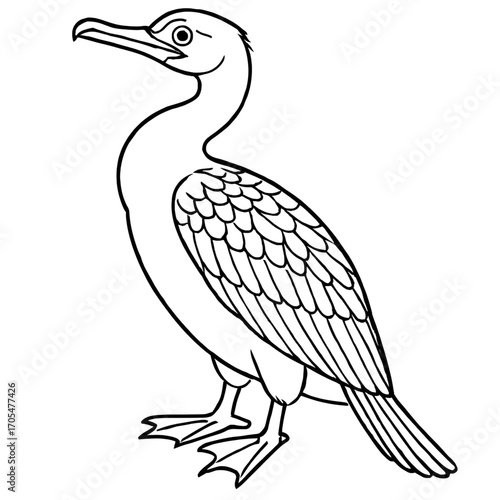 A cormorant bird illustration vector style coloring page