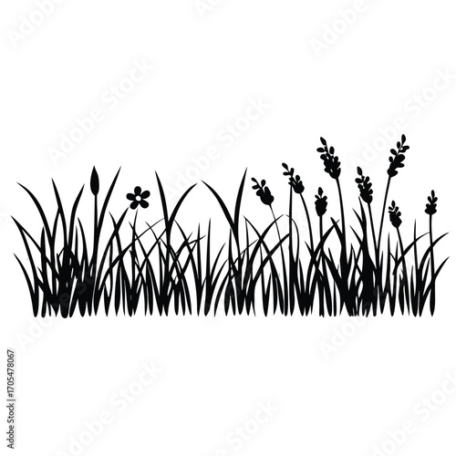 A black vector silhouette of tall grass and wild plants in a natural border style,