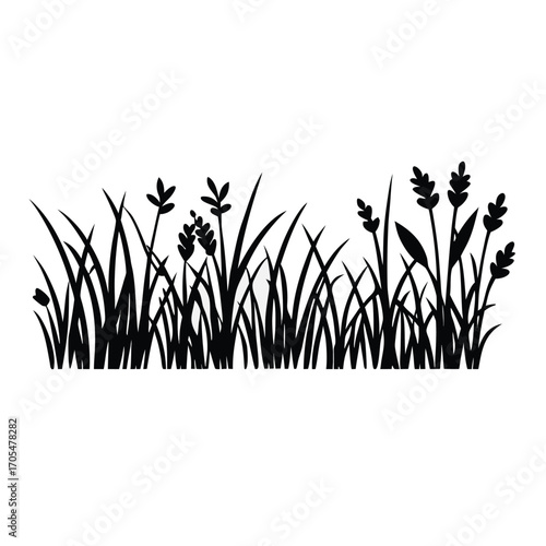 A black vector silhouette of tall grass and wild plants in a natural border style,