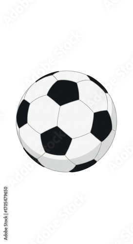 Classic Black and White Soccer Ball.