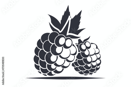 Black outline shows cluster of raspberries with detailed texture and leafy stems on white
