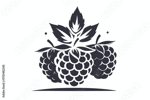 Black outline shows three raspberries with leaves against a plain white background