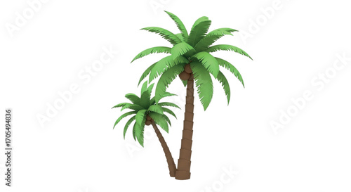 Two Palm Trees Isolated on White Background.