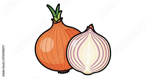 Whole and Halved Onion Illustration.