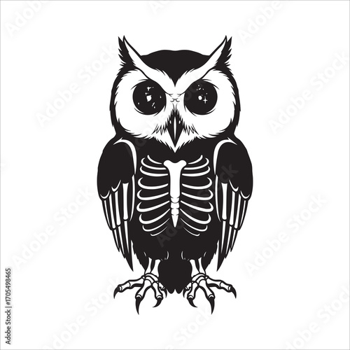 Vector art of owl skeleton illustration