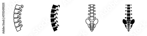 Spinal column icon vectors for apps and web.