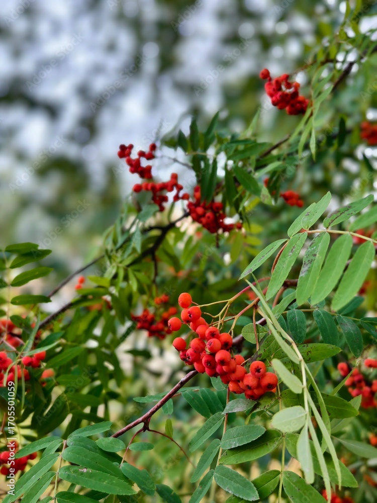 Obraz premium Wonderful variety of nature views in the south of Russia