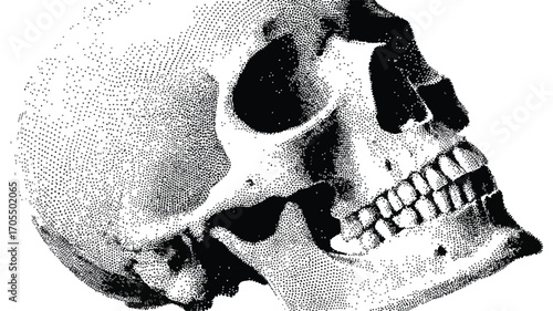 Monochrome Halftone Human Skull Collage Element
