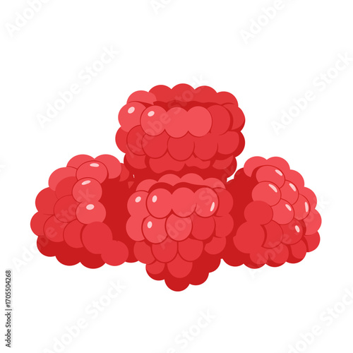 Four Raspberries Close Up Fresh Red Raspberries Healthy Berries Summer Fruit