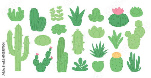 Cartoon succulents. Cactus and succulent, stone rose, aloe. Blooming and green doodle cacti, desert flowers. Isolated home garden, racy vector clipart
