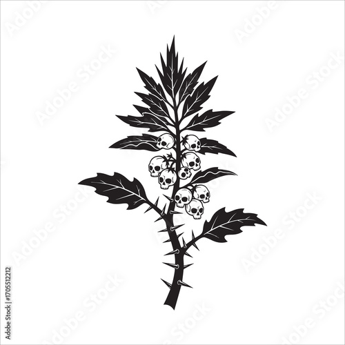 Vector art of deadly nightshade plant with skull berries