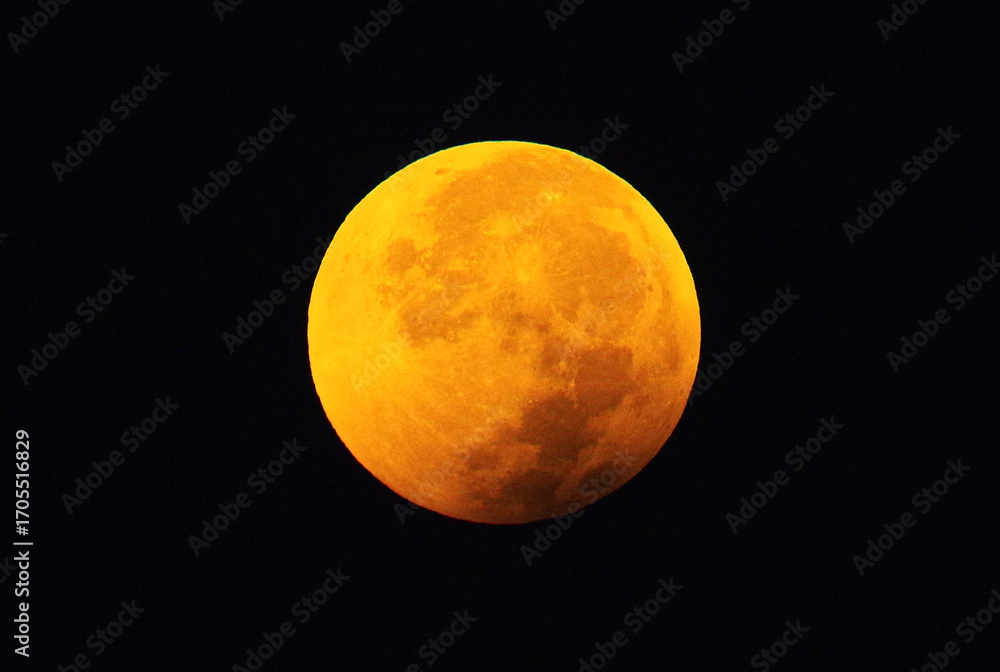 Obraz premium 満月と皆既月食(2025.9.8撮影)
