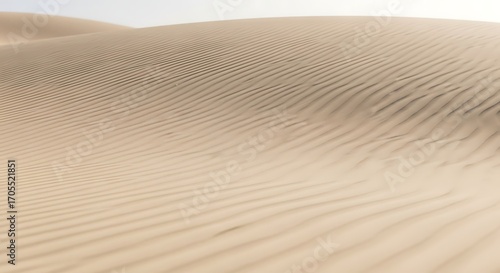 Fototapeta Naklejka Na Ścianę i Meble -  Sand Dune Landscape