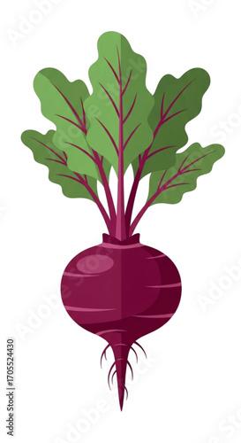 Fresh Beetroot with Green Leaves and Roots.