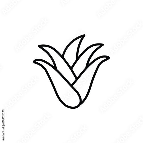  aloe icon vector for design