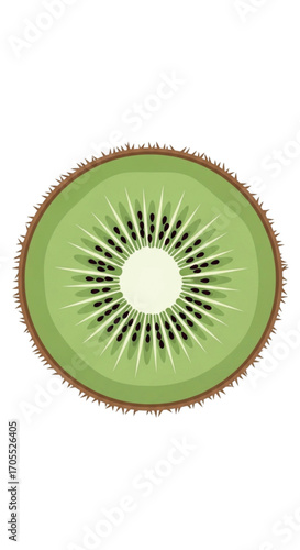 Fresh Kiwi Fruit Slice Isolated on White Background.