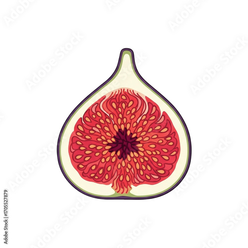 Fresh Ripe Fig Cut In Half Showing Seeds.