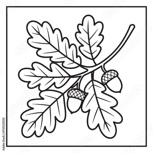 Autumn Coloring Pages – Fall Leaves, Pumpkins, Harvest and Seasonal Designs for Kids and Adults