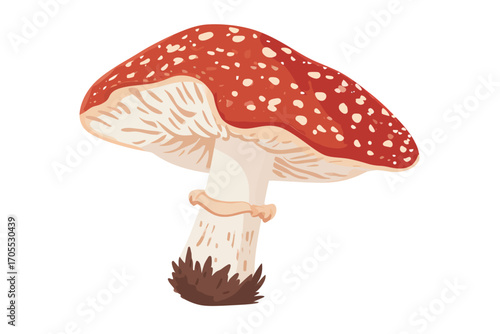 mushroom wild vegan raw isolated